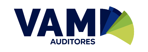 VAM AUDITORES